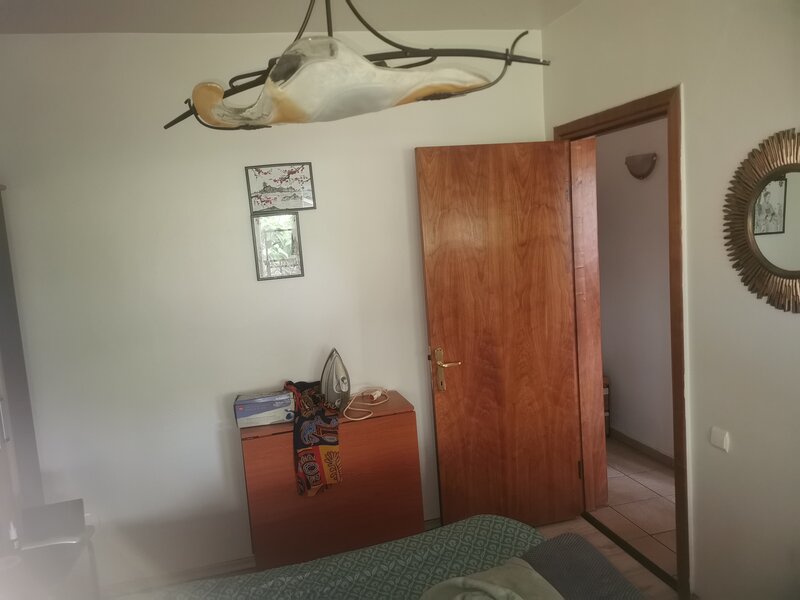 Central Plevnei (vizavi de Orhideea Gardens),