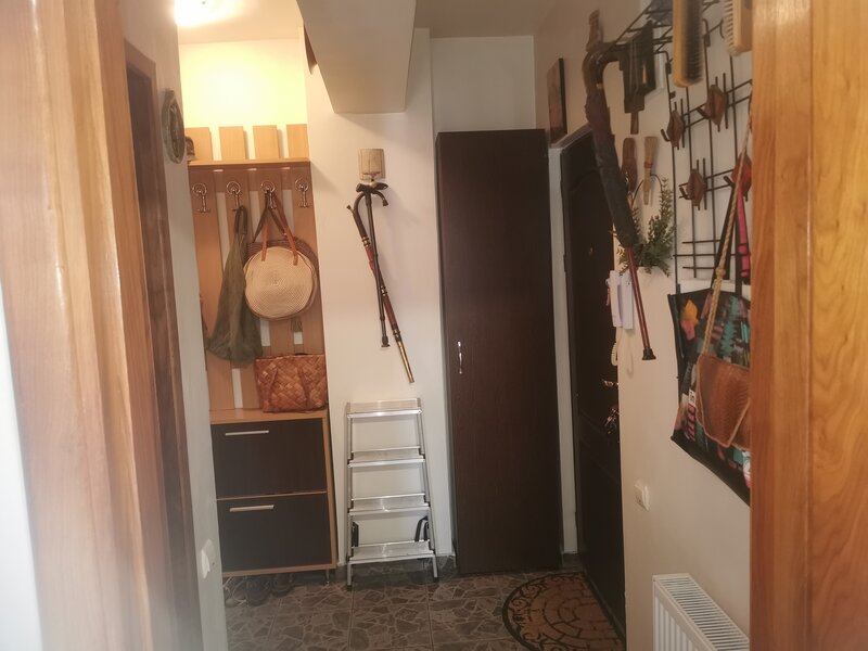 Central Plevnei (vizavi de Orhideea Gardens),