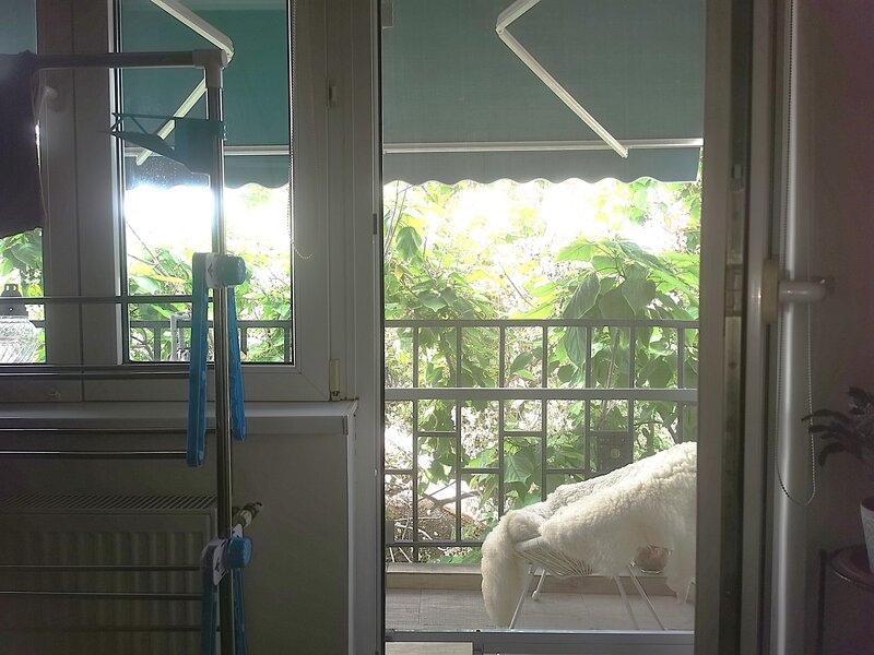 Central Plevnei (vizavi de Orhideea Gardens),