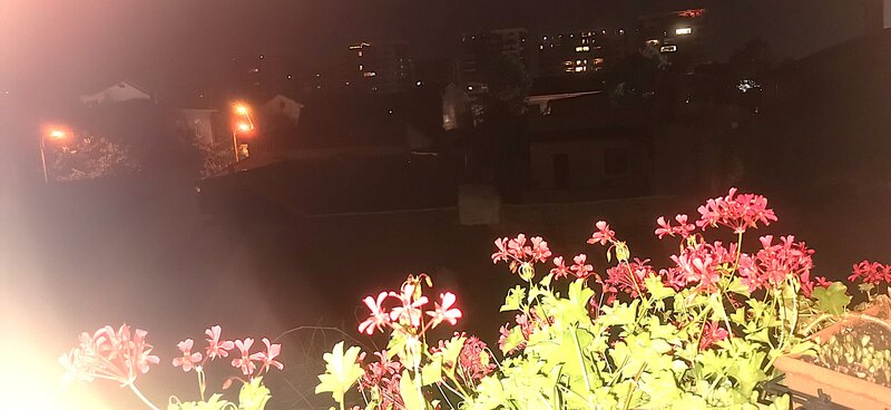 Central Plevnei (vizavi de Orhideea Gardens),